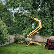 Best Storm Damage Tree Cleanup  in Emerd Mountain, AL
